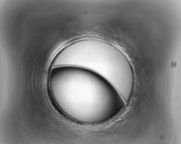 X0000099560007200805160802