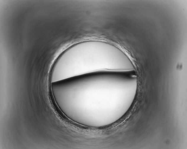 X0000099560008200805160802