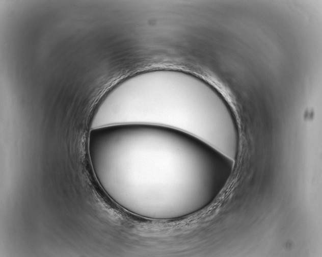 X0000099560009200805160802