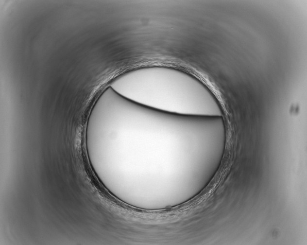 X0000099560010200805160802