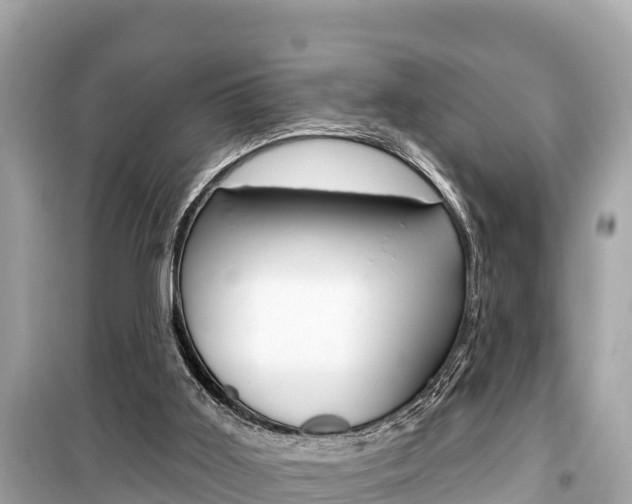X0000099560011200805160802