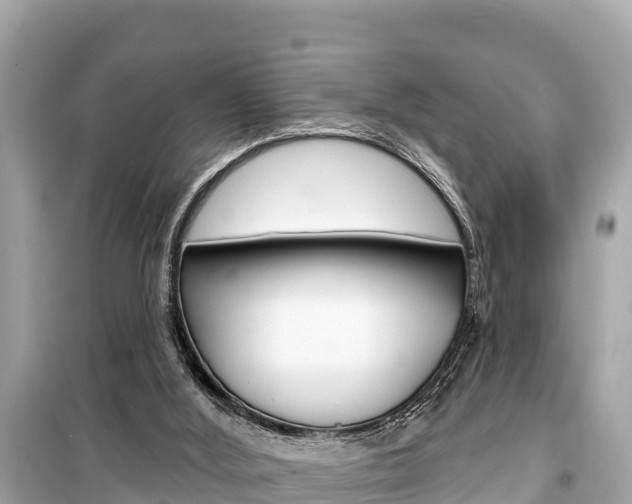 X0000099560012200805160802