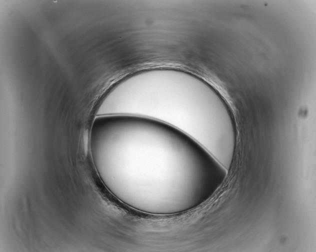 X0000099560013200805160802