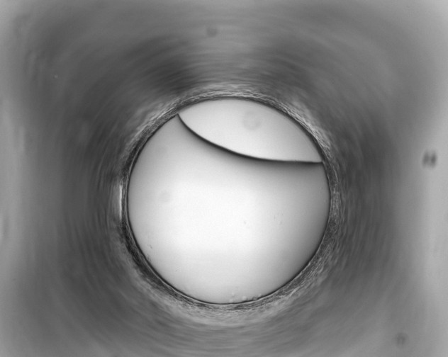 X0000099560014200805160802