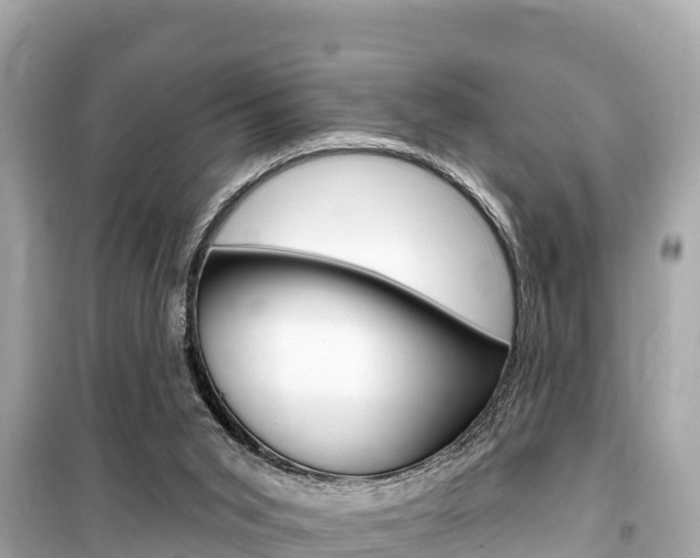 X0000099560015200805160802