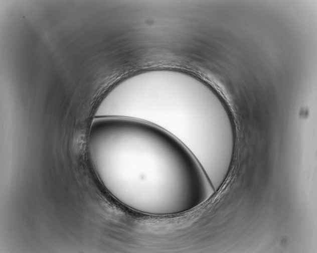 X0000099560017200805160802