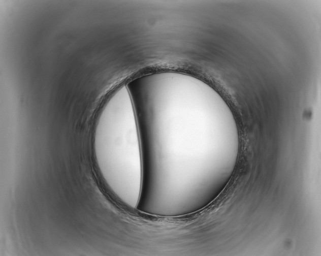 X0000099560020200805160801