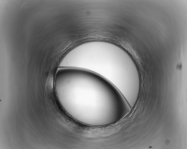X0000099560021200805160801