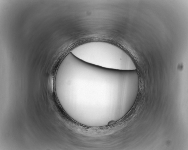 X0000099560022200805160801