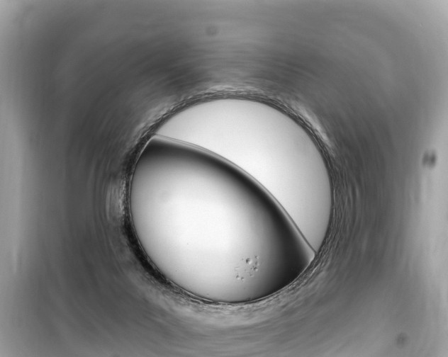 X0000099560023200805160801