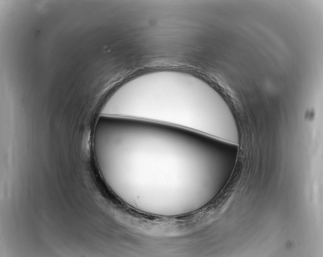 X0000099560024200805160801