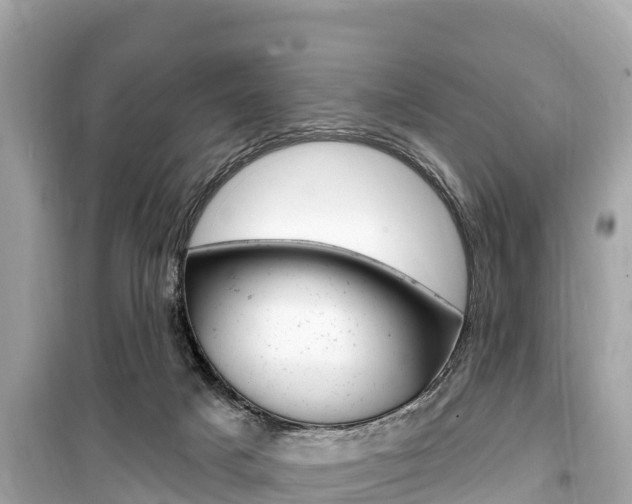 X0000099560025200805160801