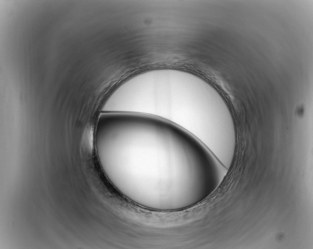 X0000099560027200805160801