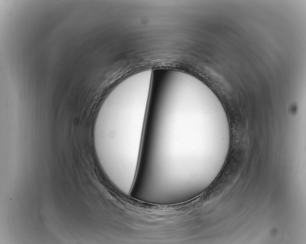 X0000099560028200805160801