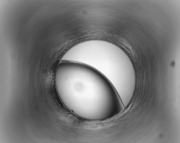 X0000099560029200805160801