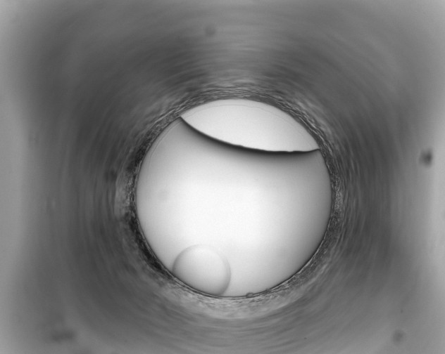 X0000099560030200805160801