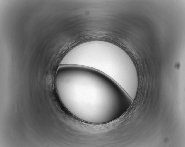 X0000099560031200805160801