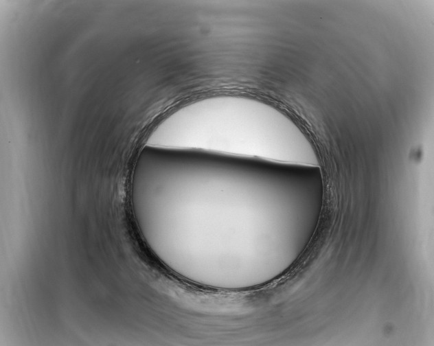 X0000099560032200805160801