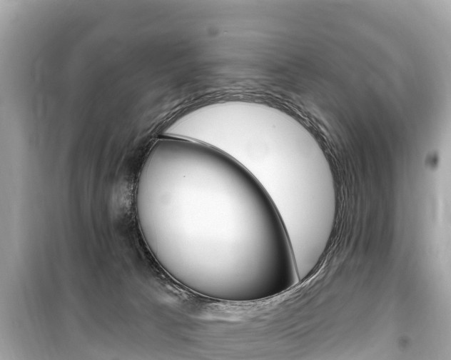 X0000099560033200805160801