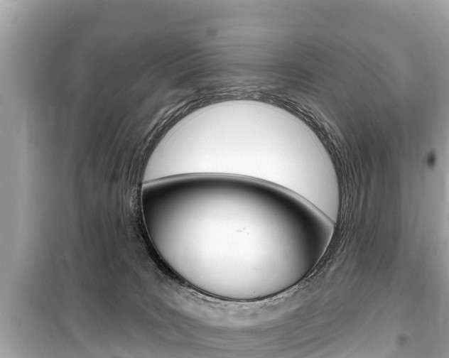 X0000099560035200805160801