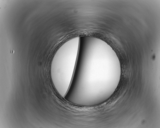 X0000099560036200805160801