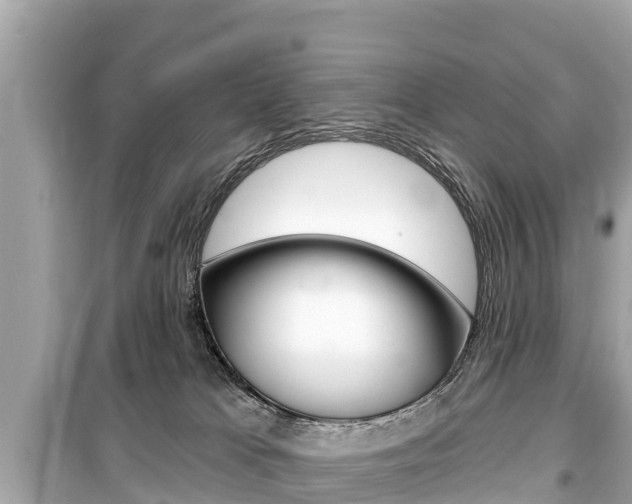 X0000099560037200805160801