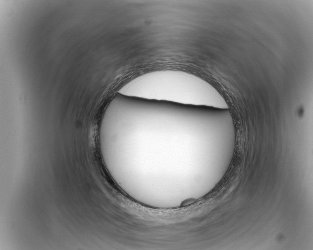 X0000099560038200805160801