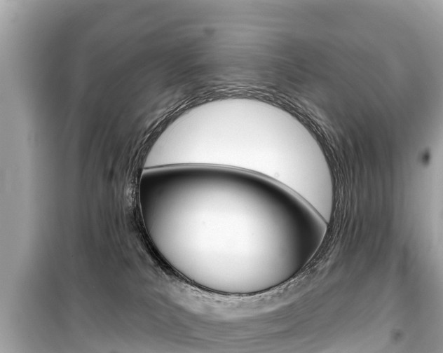 X0000099560039200805160801