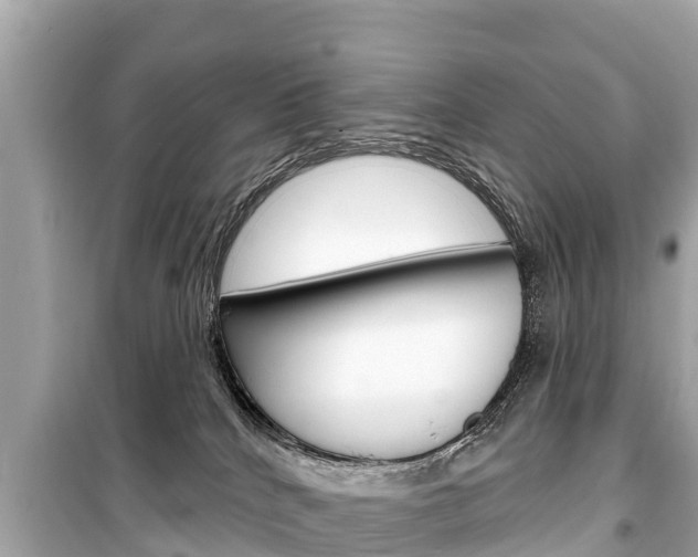 X0000099560040200805160801