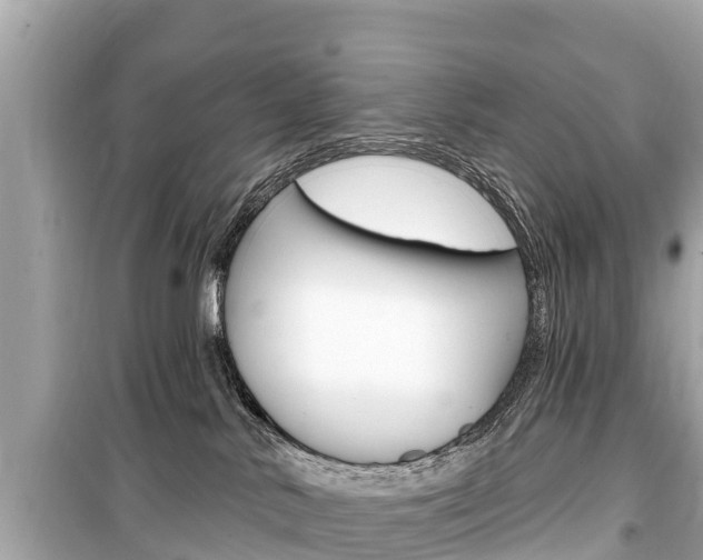 X0000099560042200805160801