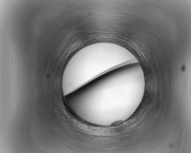 X0000099560044200805160801