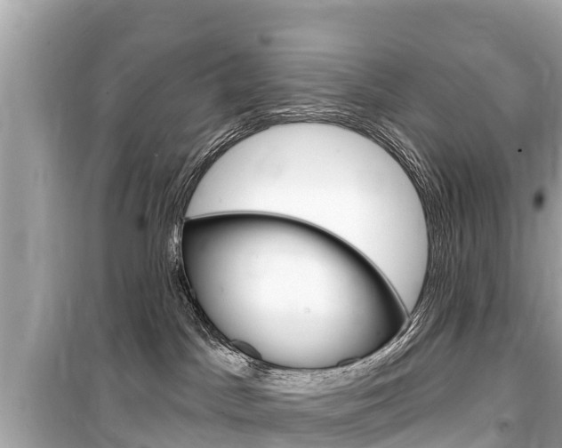 X0000099560045200805160801