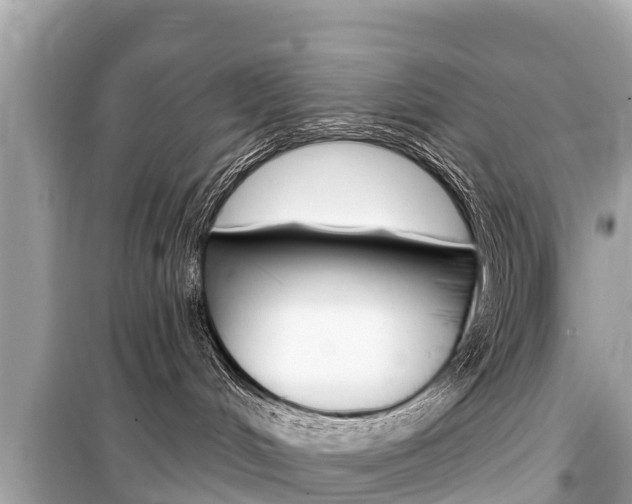 X0000099560048200805160801