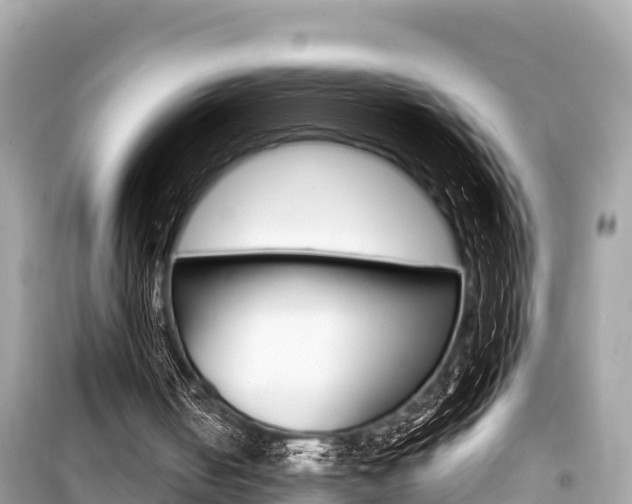 X0000099560050200805160800