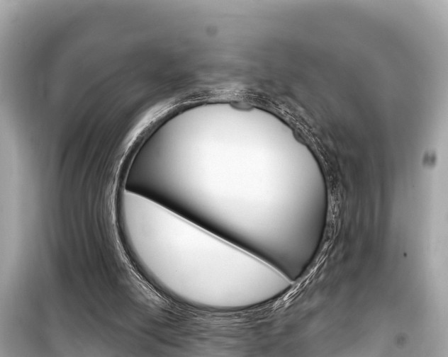 X0000099560054200805160800