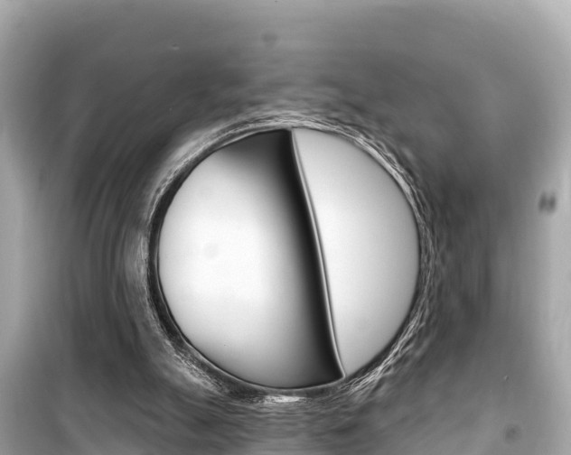 X0000099560055200805160800
