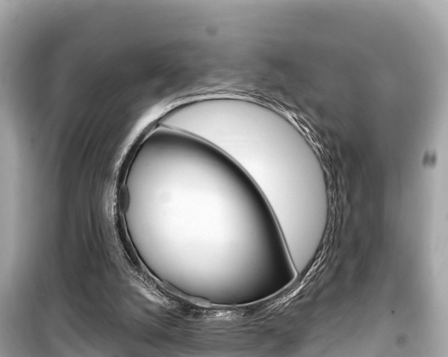 X0000099560056200805160800