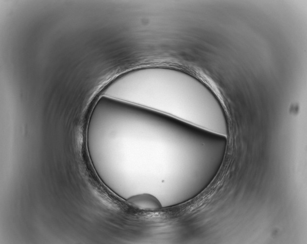 X0000099560059200805160800