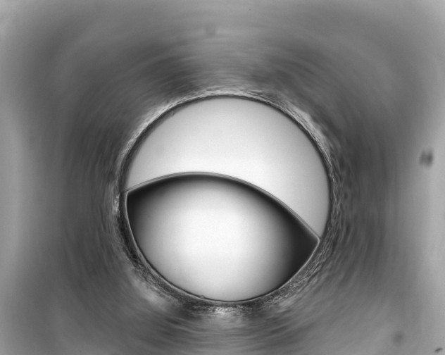 X0000099560060200805160800