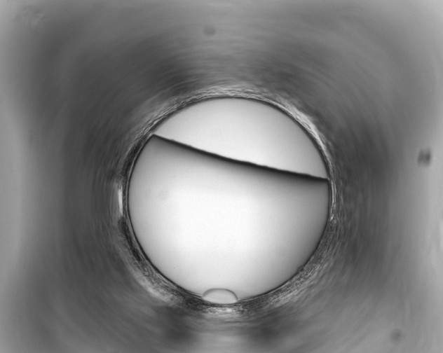 X0000099560061200805160800