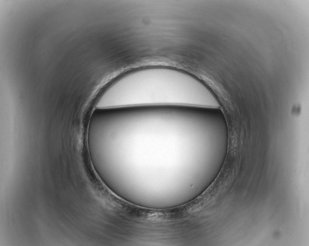X0000099560064200805160800