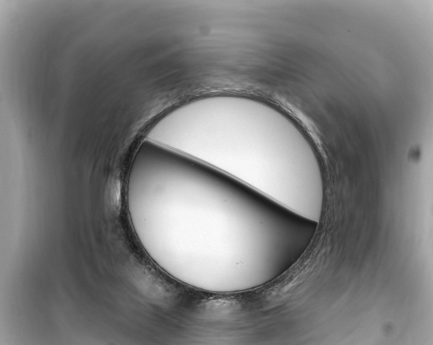 X0000099560067200805160801