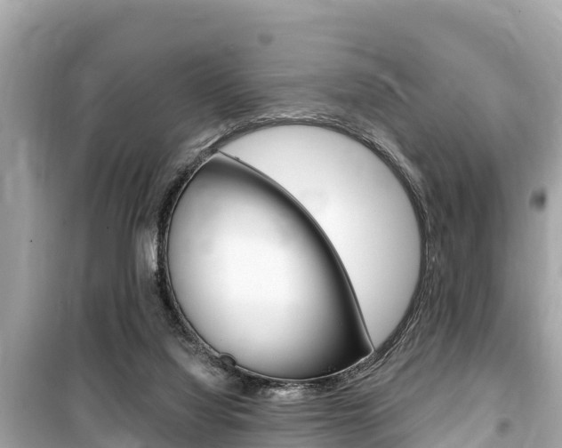 X0000099560068200805160801