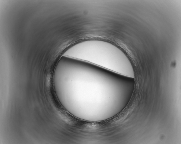 X0000099560071200805160801