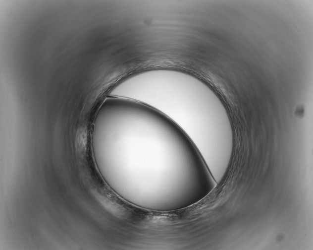 X0000099560072200805160801