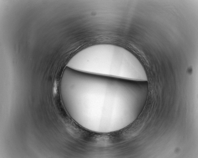 X0000099560075200805160801