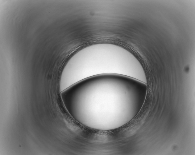 X0000099560076200805160801