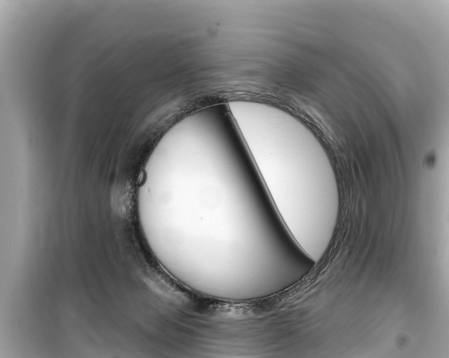 X0000099560077200805160801