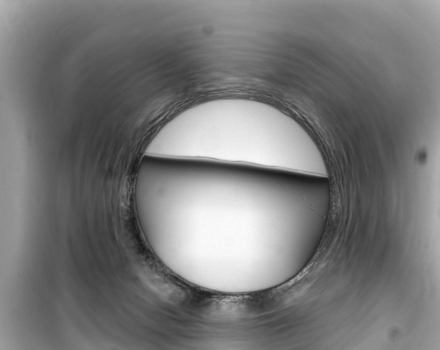 X0000099560078200805160801