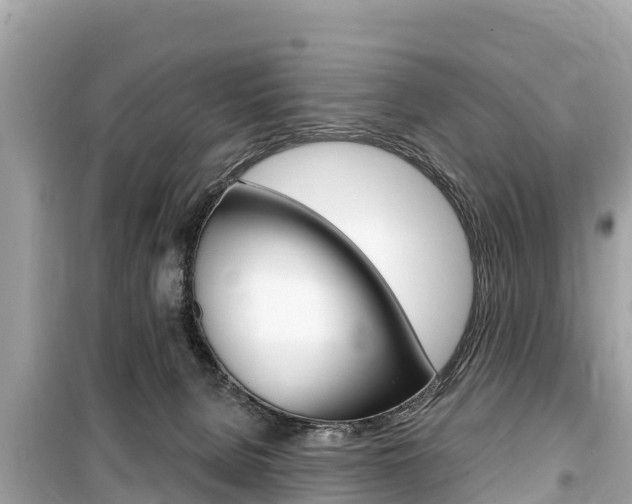 X0000099560080200805160801